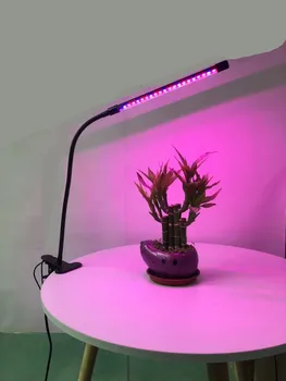 LED auginimo lempos penkių vamzdžių augalų augimo lempos viso spektro klipas augalai kaip užpildymo šviesos lempa