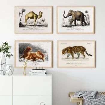 Senoviniai liūtės dramblio plakatai ir atspaudai Jaguaro drobės tapyba Dromedarinės sienos paveikslėliai svetainei Namų dekoras Be rėmelio