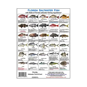 Žvejų identifikavimo kortelė Žuvų rūšių vadovas su magnetais Atpažinti Floridos vandenis Taisyklių kortelė žvejybos entuziastams